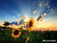 江苏凡德电力科技有限公司扬州分公司