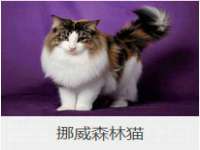 江苏凡德电力科技有限公司扬州分公司
